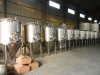 10BBL fermenters.JPG