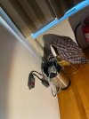 IMG_7853.jpeg