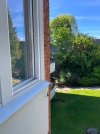 IMG_7854.jpeg