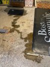 IMG_6672.jpeg