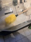 IMG_9535.jpeg