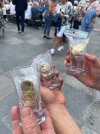 IMG_7291.jpeg