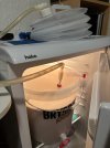 IMG_1295.jpeg
