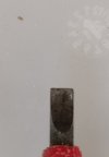 1000014211.jpg