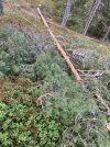 IMG_3788.jpeg