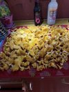 IMG_3790.jpeg