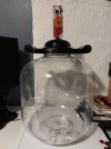 IMG_1423.jpeg