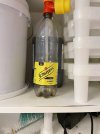 IMG_8186.jpeg IMG_8186.jpeg