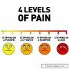 IMG_9866.png IMG_9866.png