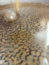 536CB42B-6B69-41E1-A0E4-D0250E01266A.png