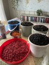 IMG_0476.jpeg