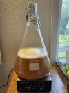 Wyeast 1469 gjærstarter 2.jpeg