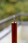 DSC05546.jpg