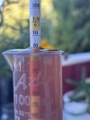 IMG_5103.jpeg