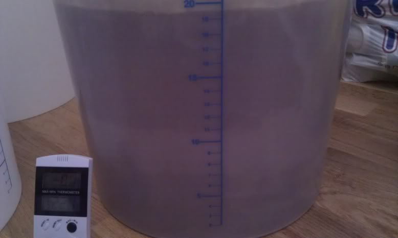 IMAG0544.jpg