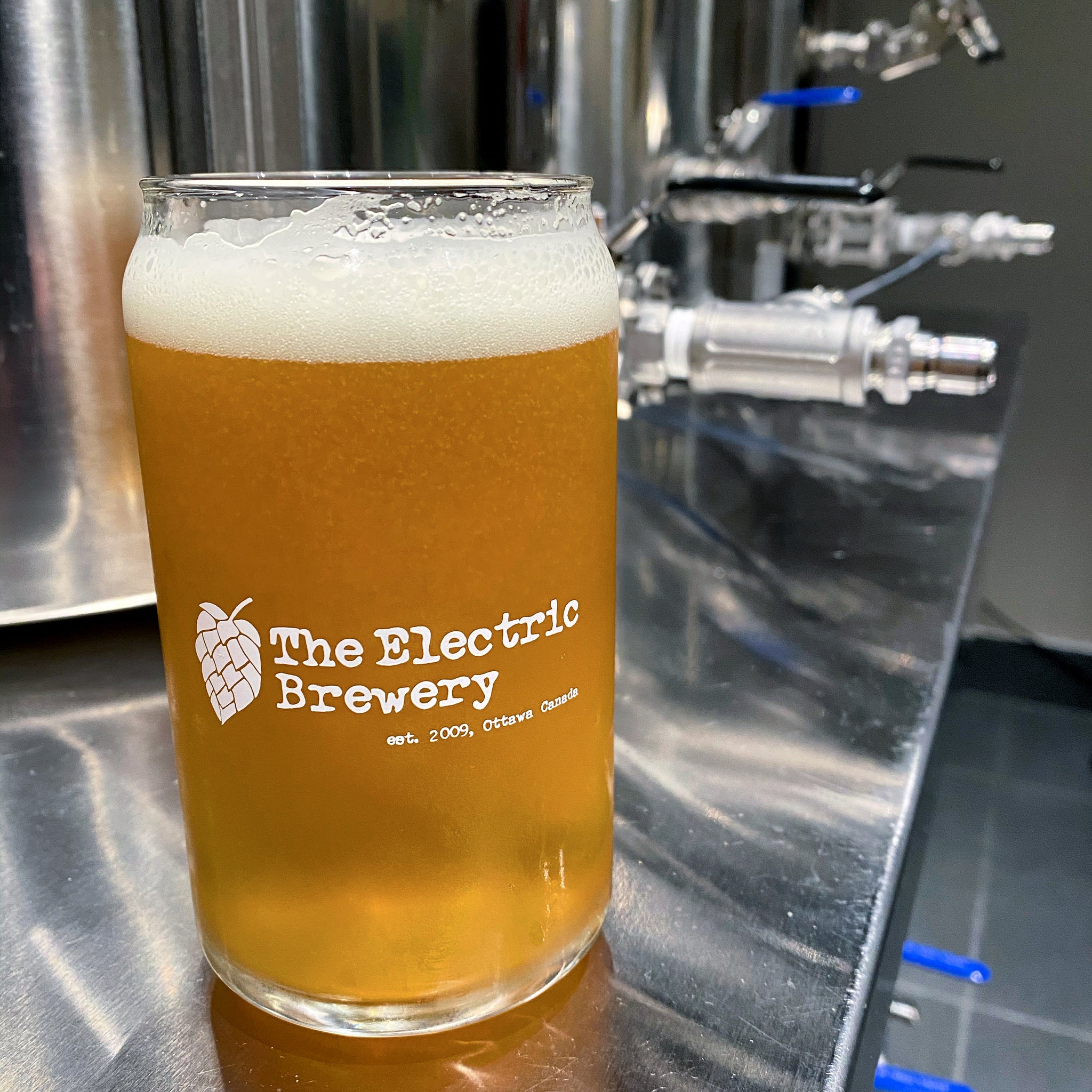 shop.theelectricbrewery.com
