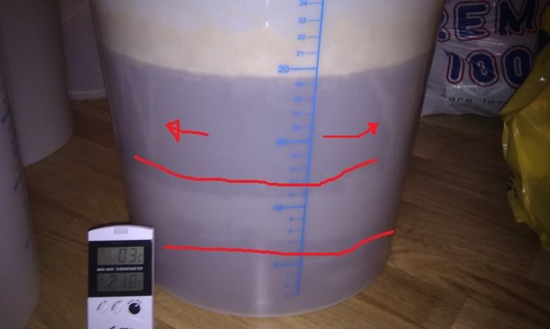 IMAG0545-Copy.jpg
