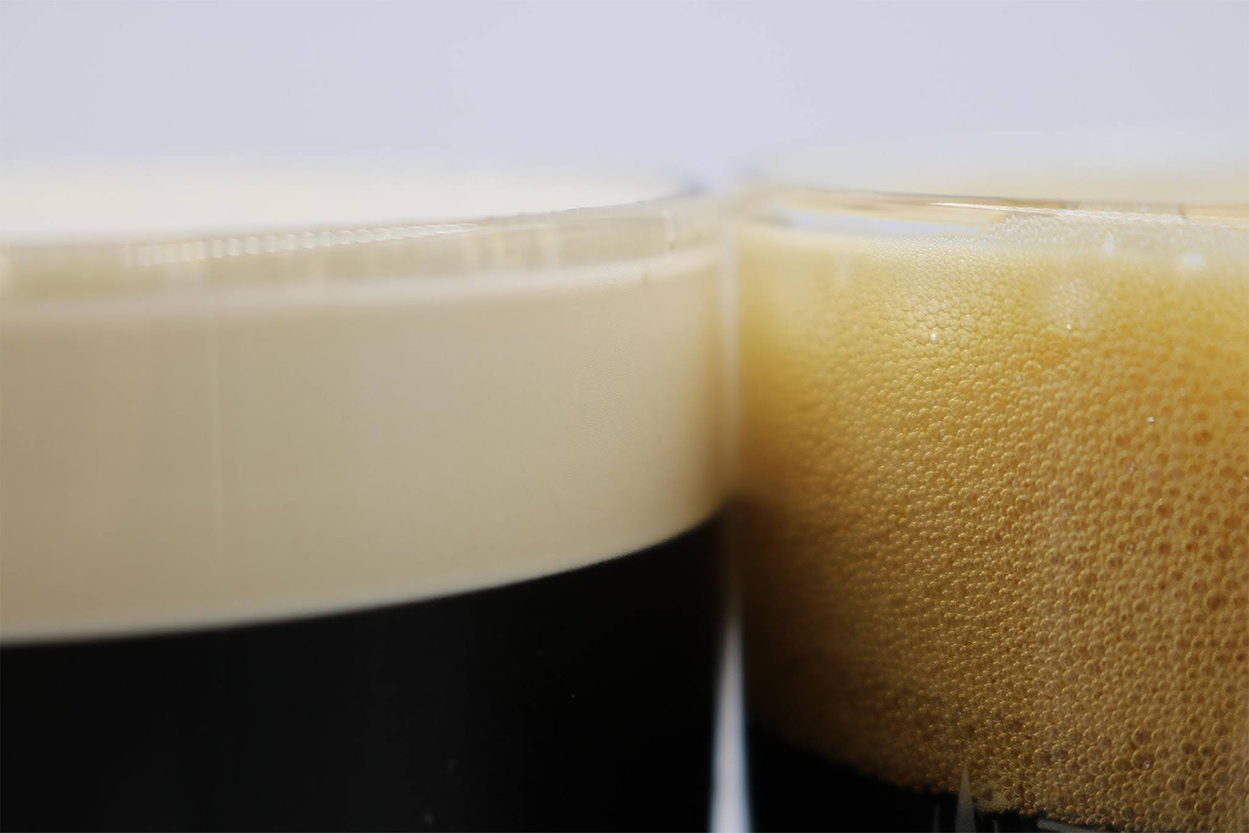 brewingwithbriess.com