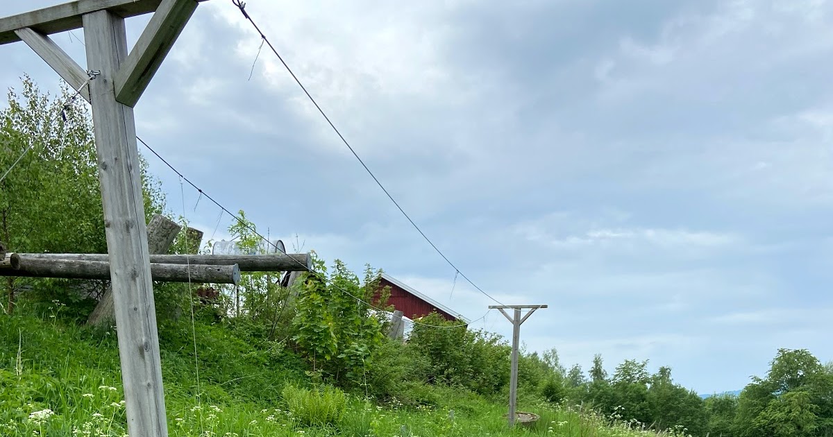 bryggerlauget.blogspot.com