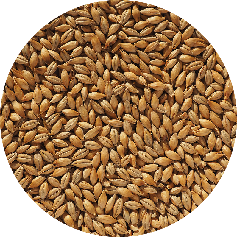 crispmalt.com