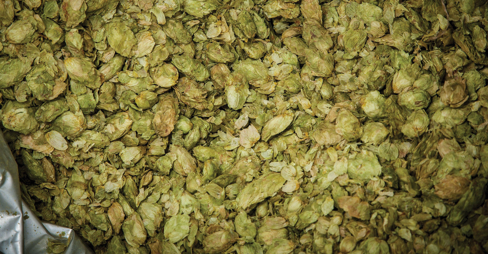beerandbrewing.com